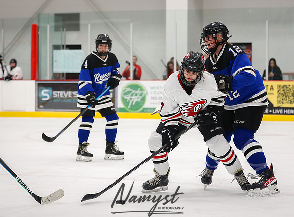 Centennial vs Rogers JV Hockey 64