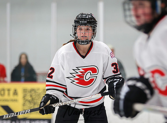 Centennial vs Rogers JV Hockey 68