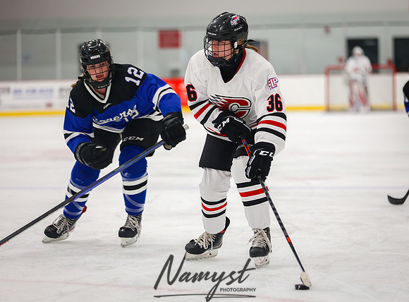 Centennial vs Rogers JV Hockey 8