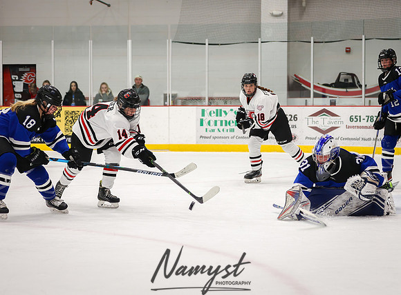 Centennial vs Rogers JV Hockey 95