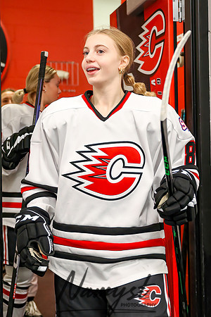 Centennial vs Rogers Varsity Hockey 11