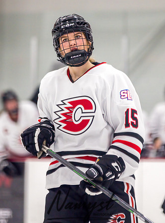 Centennial vs Rogers Varsity Hockey 132