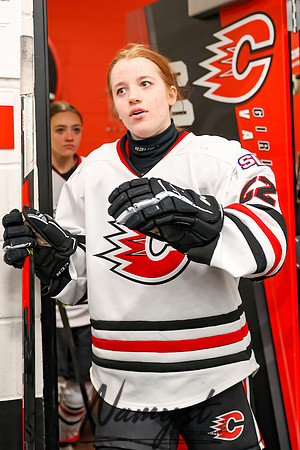 Centennial vs Rogers Varsity Hockey 14