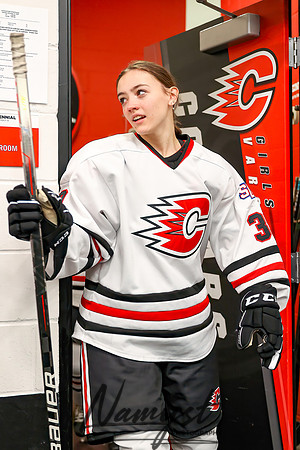Centennial vs Rogers Varsity Hockey 15