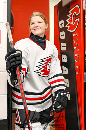 Centennial vs Rogers Varsity Hockey 17
