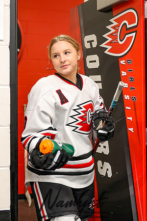 Centennial vs Rogers Varsity Hockey 18
