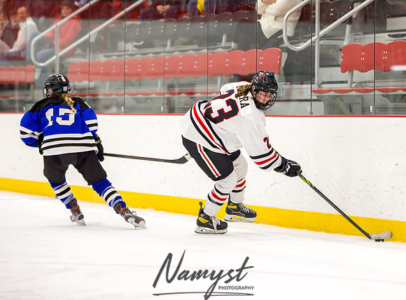 Centennial vs Rogers Varsity Hockey 204