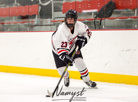 Centennial vs Rogers Varsity Hockey 208