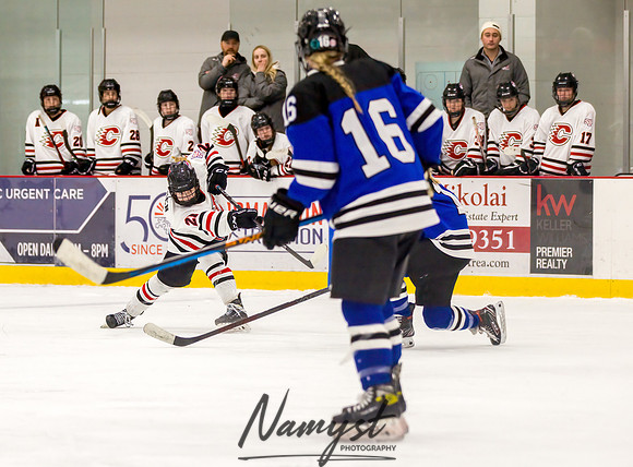 Centennial vs Rogers Varsity Hockey 242