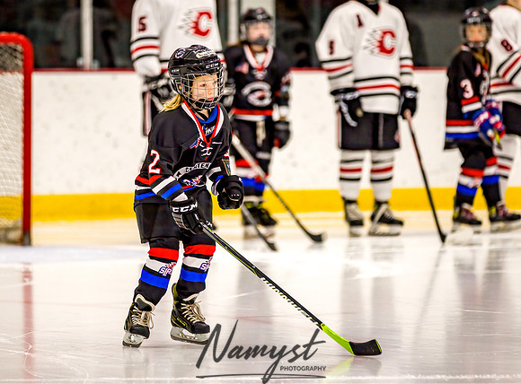 Centennial vs Rogers Varsity Hockey 32