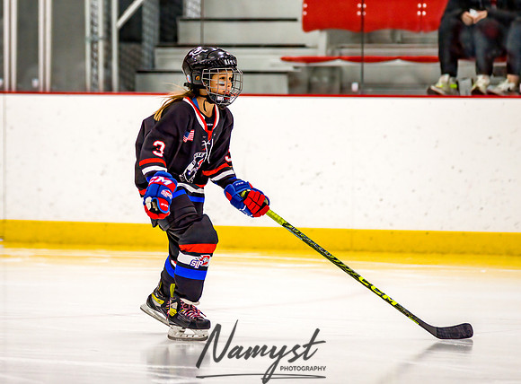 Centennial vs Rogers Varsity Hockey 34