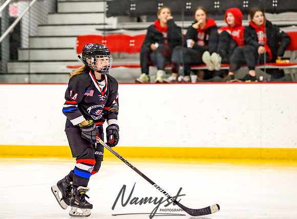 Centennial vs Rogers Varsity Hockey 33