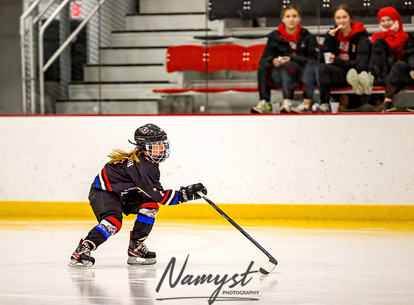 Centennial vs Rogers Varsity Hockey 36