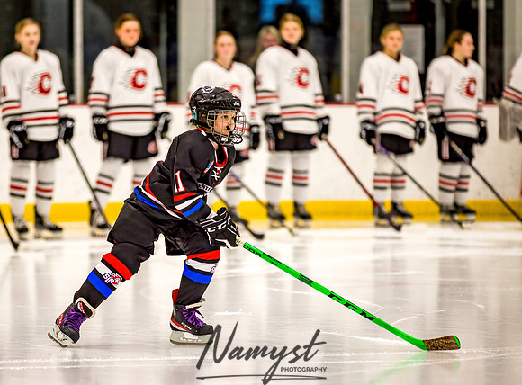Centennial vs Rogers Varsity Hockey 40
