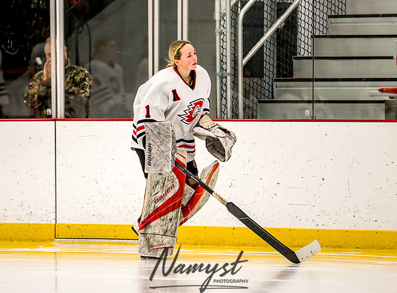 Centennial vs Rogers Varsity Hockey 41