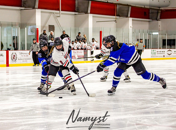Centennial vs Rogers Varsity Hockey 54
