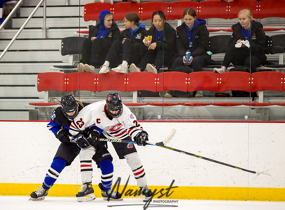 Centennial vs Rogers Varsity Hockey 92