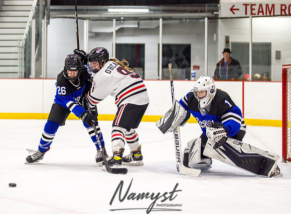 Centennial vs Rogers Varsity Hockey 94