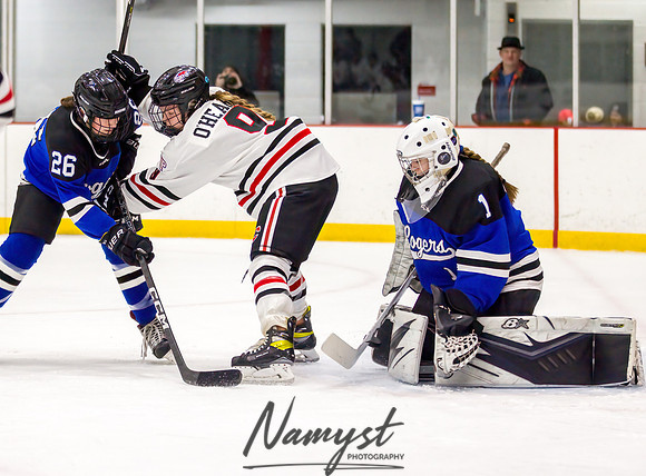 Centennial vs Rogers Varsity Hockey 95