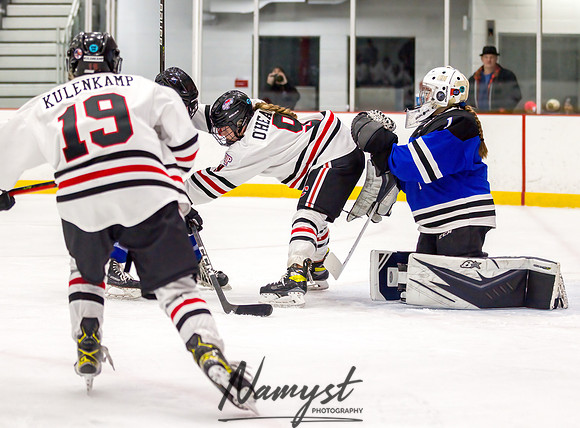 Centennial vs Rogers Varsity Hockey 97