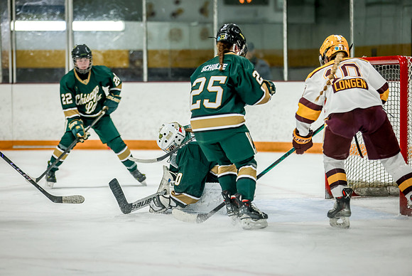 Chisago vs Forest Lake JV Hockey 53