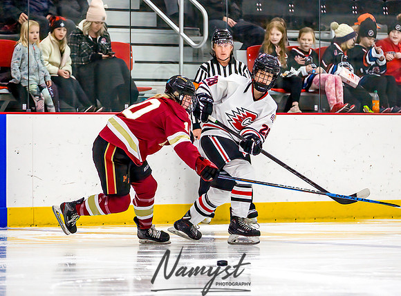 Centennial vs Maple Grove Varsity Hockey 163