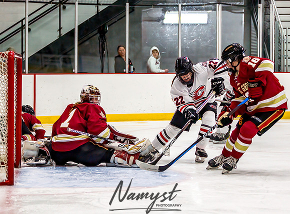 Centennial vs Maple Grove Varsity Hockey 176