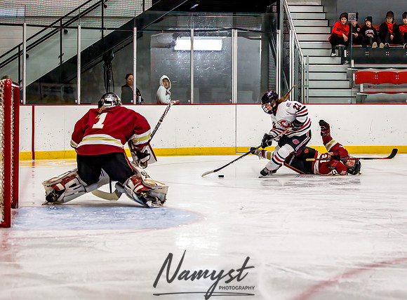 Centennial vs Maple Grove Varsity Hockey 171