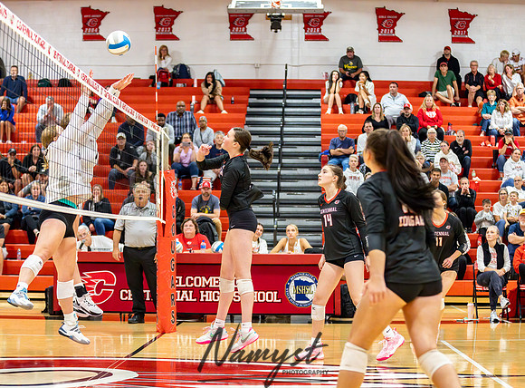 Centennial vs Roseville Volleyball 120