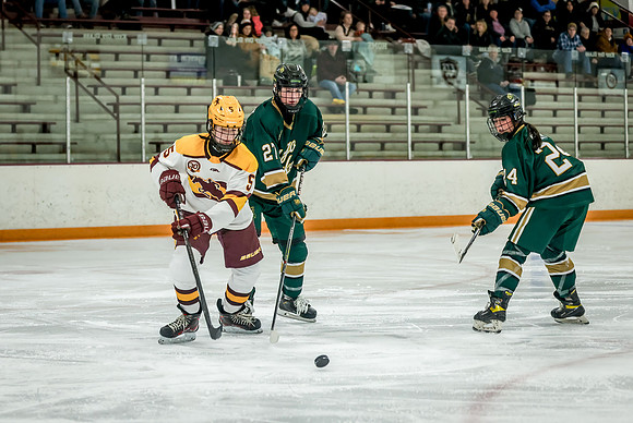 Chisago vs Forest Lake JV Hockey 195