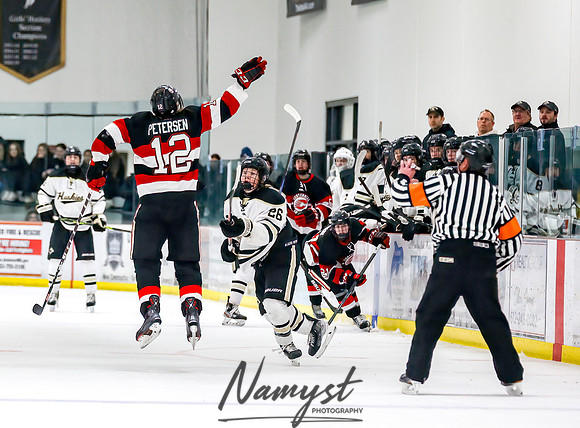 Centennial vs Andover Varsity Hockey  51
