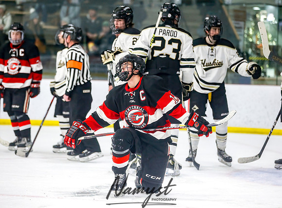 Centennial vs Andover Varsity Hockey  110