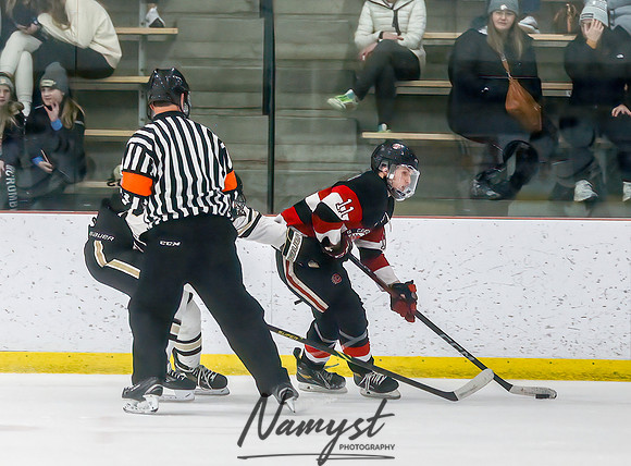 Centennial vs Andover Varsity Hockey  113