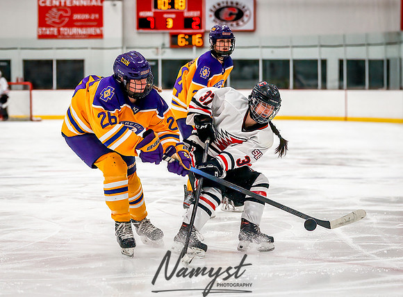 Centennial vs Cretin-Derham Hall JV Hockey_789