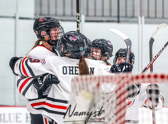 Centennial vs Cretin-Derham Hall Varsity Hockey_111