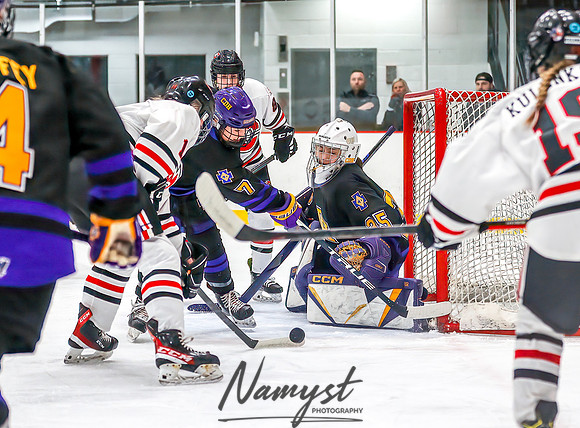 Centennial vs Cretin-Derham Hall Varsity Hockey_221