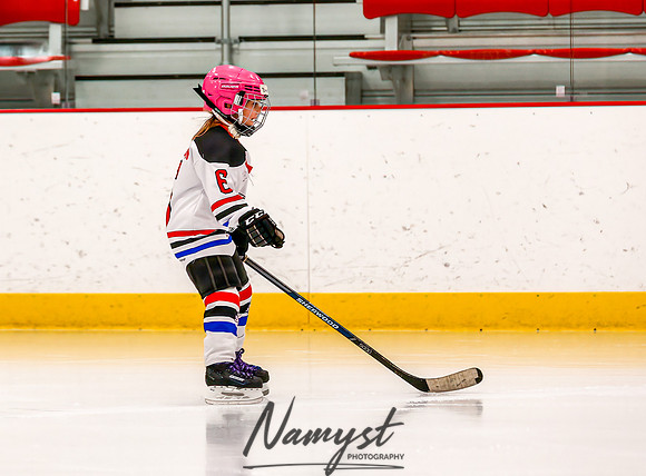 Centennial vs Cretin-Derham Hall Varsity Hockey_29
