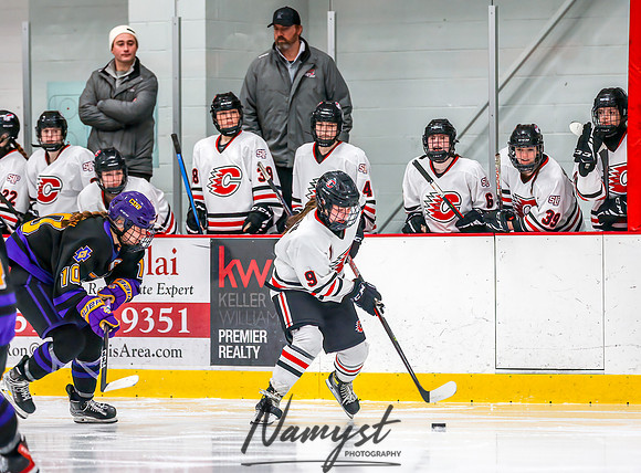 Centennial vs Cretin-Derham Hall Varsity Hockey_380