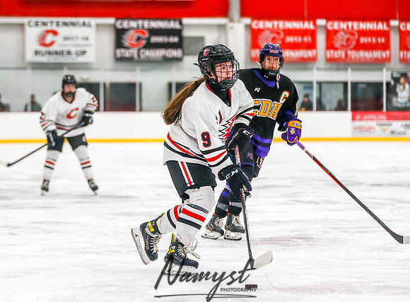 Centennial vs Cretin-Derham Hall Varsity Hockey_495