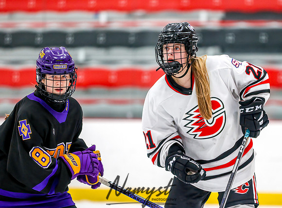Centennial vs Cretin-Derham Hall Varsity Hockey_763