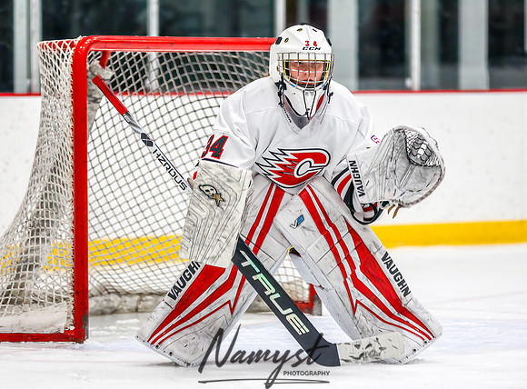 Centennial vs Cretin-Derham Hall Varsity Hockey_833
