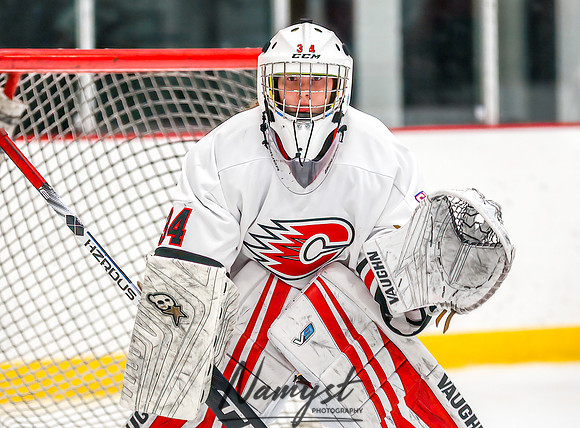 Centennial vs Cretin-Derham Hall Varsity Hockey_836