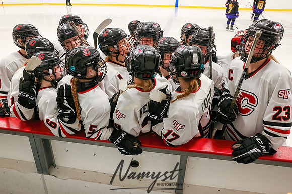 Centennial vs Cretin-Derham Hall Varsity Hockey_894