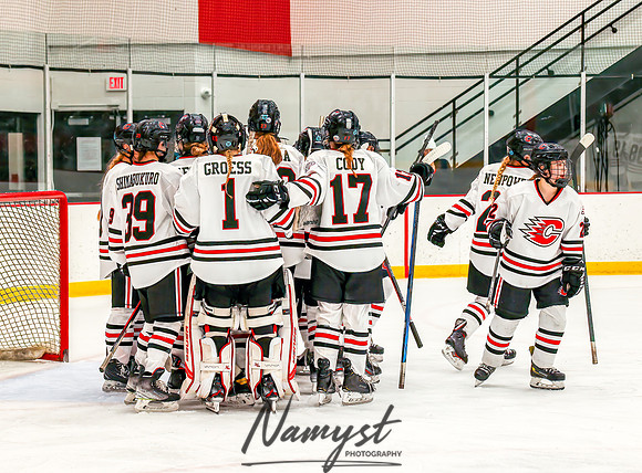 Centennial vs Cretin-Derham Hall Varsity Hockey_902