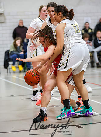 Centennial vs Andover Girls Basketball_886