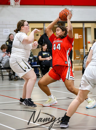 Centennial vs Andover Girls Basketball_938