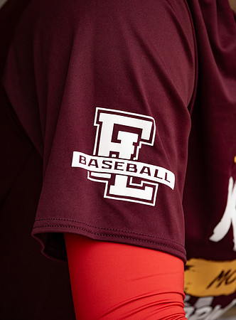 Forest Lake vs Duluth East Varsity Baseball 20