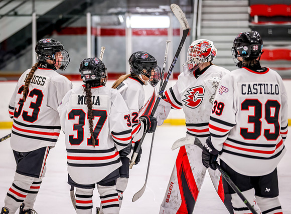 Centennial vs Holy Angels JV Hockey 250