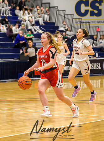 Centennial vs Shakopee Girls Basketball - State Tournament 082