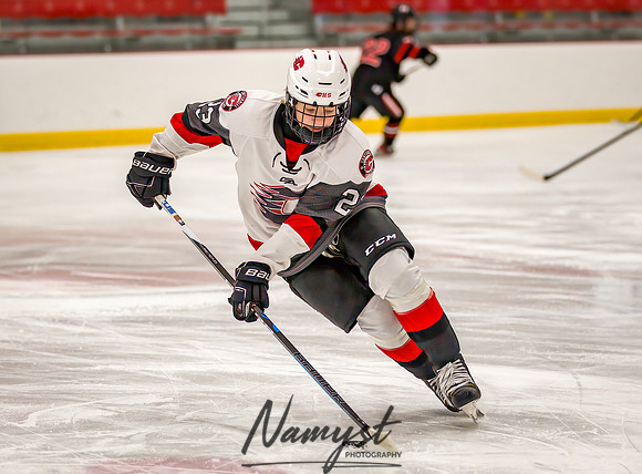 Centennial vs Elk River JV Hockey 12